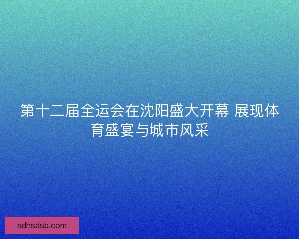 第十二届全运会在沈阳盛大开幕 展现体育盛宴与城市风采